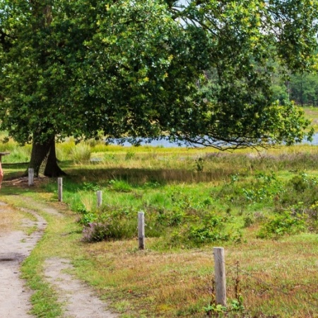 Landelijk gebied